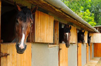 free Hollins End stable construction quotes
